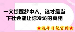 一文惊醒梦中人,这才是当下社会能让你发达的真相【公众号付费文章】-流年日记