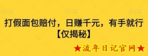 打JIA面包赔付，日赚千元，有手就行-流年日记