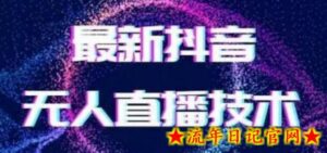 2024最新女生无声版无人直播全套教程,疯狂撸音浪-流年日记
