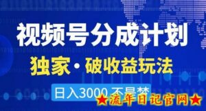 视频号分成计划，独家·破收益玩法，日入3000不是梦-流年日记
