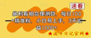暴利看相命理测算，每日100+精准粉，小白易上手，3天收益1000+-流年日记