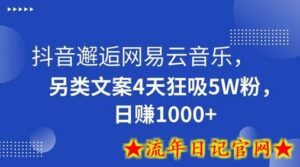 抖音邂逅网易云音乐,另类文案4天狂吸5W粉,日赚1000+-流年日记