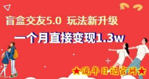 盲盒交友5.0,玩法全新升级,一个月直接变现1.3W,新手小白轻松上手-流年日记