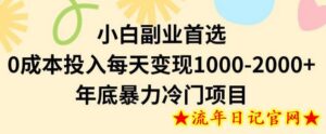 小白副业首选,0成本投入,每天变现1000-2000年底暴力冷门项目-流年日记