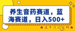 养生音药赛道,蓝海赛道,日入500+-流年日记