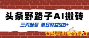 全网首发头条野路子AI搬砖玩法,纪实类超级蓝海项目,三天起号单日收益500+-流年日记