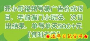 旺小哥视频号薅广告分成项目,年前偏门小玩法,次日出结果,单号单天500+元【有时效性】-流年日记