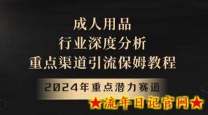 2024年重点潜力赛道,成人用品行业深度分析,重点渠道引流保姆教程-流年日记