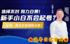 大左教您从0到1做直播带货,选择不对,努力白费,5小时课程搞定那点事,解决你起号问题-流年日记