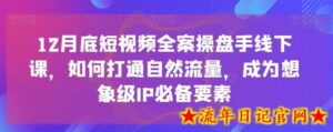 12月底短视频全案操盘手线下课,如何打通自然流量,成为想象级IP必备要素-流年日记