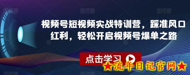 视频号短视频实战特训营，踩准风口红利，轻松开启视频号爆单之路-流年日记