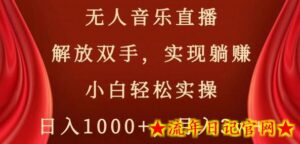无人音乐直播,解放双手,实现躺赚,小白轻松实操,日入1000+,月入3w+-流年日记