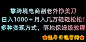 靠跨境电商割老外挣美刀,日入1000+月入几万轻轻松松!多种变现方式,落地保姆级教程-流年日记