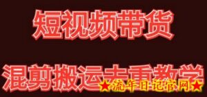 混剪去重短视频带货玩法,混剪搬运简单过原创思路分享-流年日记