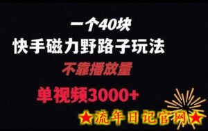 一个40块,快手联合美团磁力新玩法,无视机制野路子玩法,单视频收益4位数-流年日记