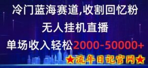 冷门蓝海赛道,收割回忆粉,无人挂机直播,单场收入轻松2000-5w+-流年日记