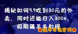 揭秘如何9.9吃到30元的外卖,同时还能日入300+,极限薅羊毛教程-流年日记