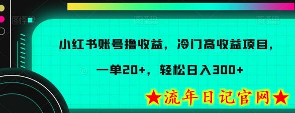 小红书账号撸收益，冷门高收益项目，一单20+，轻松日入300+-流年日记