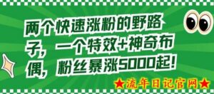 两个快速涨粉的野路子,一个特效+神奇布偶,粉丝暴涨5000起-流年日记