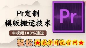 最新Pr定制模版搬运技术,中视频100%通过,几分钟一条视频,轻松月入1W+-流年日记