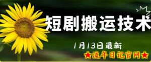 最新短剧搬运技术,电脑手机都可以操作,不限制机型-流年日记