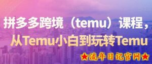 拼多多跨境（temu）课程，从Temu小白到玩转Temu-流年日记