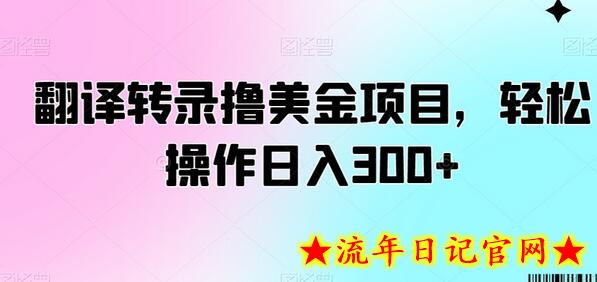 翻译转录撸美金项目，轻松操作日入300+-流年日记