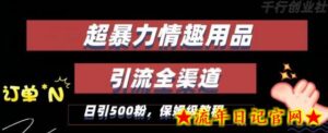 最新情趣项目引流全渠道,自带高流量,保姆级教程,轻松破百单,日引500+粉-流年日记