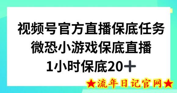 视频号直播任务，微恐小游戏，1小时20+-流年日记