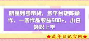明星账号带货，多平台矩阵操作，一条作品收益500+，小白轻松上手-流年日记
