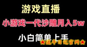 玩小游戏一代沙雕月入5w,爆裂变现,快速拿结果,高级保姆式教学-流年日记