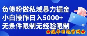 负债粉私域暴力掘金,小白操作入5000,无经验限制,无条件限制-流年日记