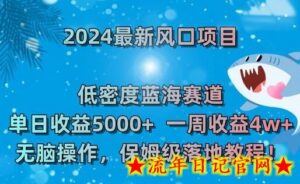 2024最新风口项目,低密度蓝海赛道,单日收益5000+,一周收益4w+!-流年日记