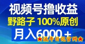 视频号野路子撸收益,100%原创,条条爆款,月入6000+-流年日记