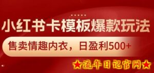 小红书卡模板爆款玩法，售卖情趣内衣，日盈利500+-流年日记
