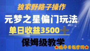 独家野路子玩法,无视机制,元梦之星偏门操作,单日收益3500+,保姆级教学【揭秘】-流年日记