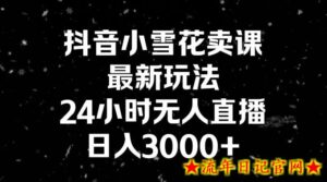 抖音小雪花卖课，24小时无人直播，日入3000+，小白也能轻松操作-流年日记