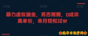 暴力虚拟掘金,男杏刚需,0成本高单价,单月轻松过W【揭秘】-流年日记