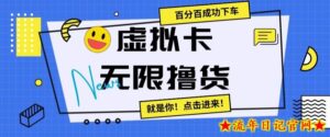 虚拟卡无限撸货,百分百成功下车【仅揭秘】-流年日记