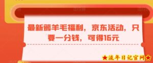 最新薅羊毛福利,京东活动,只要一分钱,可得16元-流年日记