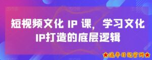 短视频文化IP课,学习文化IP打造的底层逻辑-流年日记
