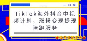 TikTok海外抖音中视频计划，涨粉变现提现陪跑服务-流年日记