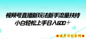 视频号直播新玩法新手流量扶持小白轻松上手日入600＋【揭秘】-流年日记