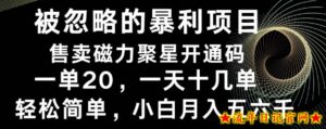 被忽略的暴利项目!售卖磁力聚星开通码,一单20,一天十几单,轻松月入五六千-流年日记