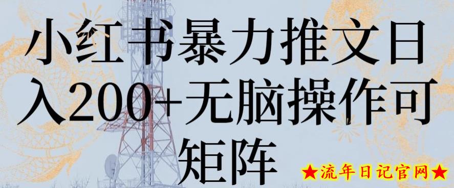 小红书暴力推文日入200+无脑操作可矩阵【揭秘】-流年日记