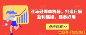 亚马逊爆单机器,打造巨额盈利链接,粗暴好用-流年日记