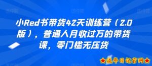 小Red书带货42天训练营(2.0版),普通人月收过万的带货课,零门槛无压货-流年日记