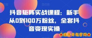 抖音矩阵实战课程：新手从0到100万粉丝，全套抖音变现实操-流年日记