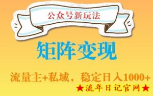 公众号软件玩法私域引流网盘拉新,多种变现,稳定日入1000【揭秘】-流年日记