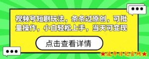 视频号短剧玩法,条条过原创,可批量操作,小白轻松上手,当天可变现-流年日记